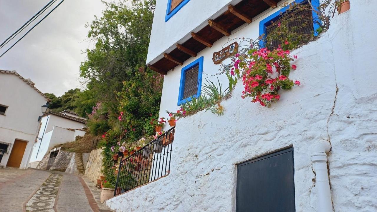 Casa El Olivo By Casaturistica Villa Benalauría Eksteriør billede