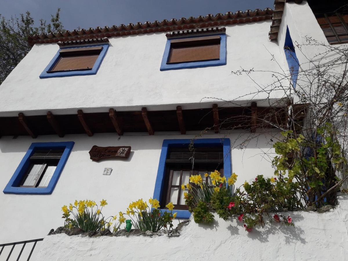 Casa El Olivo By Casaturistica Villa Benalauría Eksteriør billede